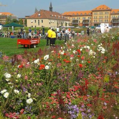 2015 Ausflug nach Landau