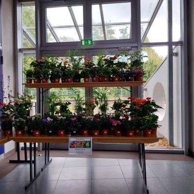 Img 20241005 Wa00101