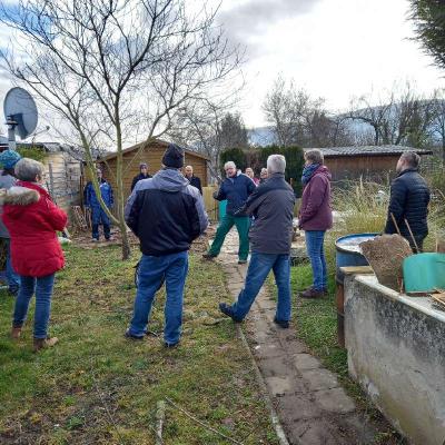 Obstbaumschnittkurs 14.03.2022
